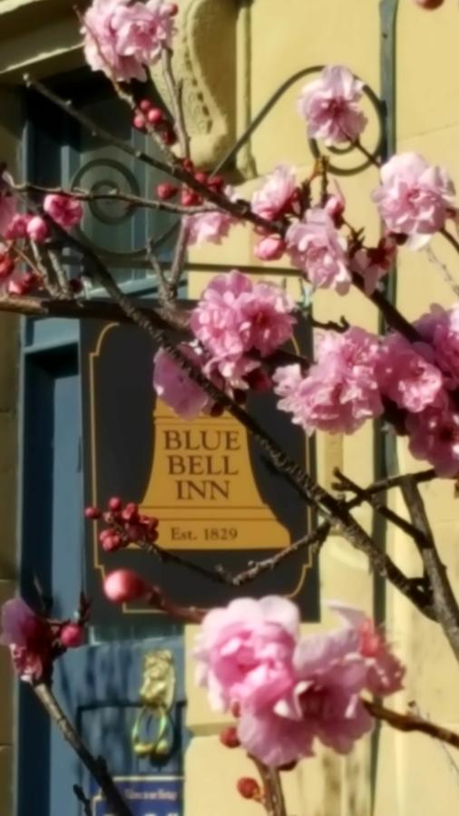 Sorell 蓝钟宾馆酒店 外观 照片